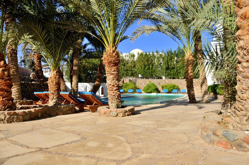 Dahab Divers Εξωτερικό φωτογραφία