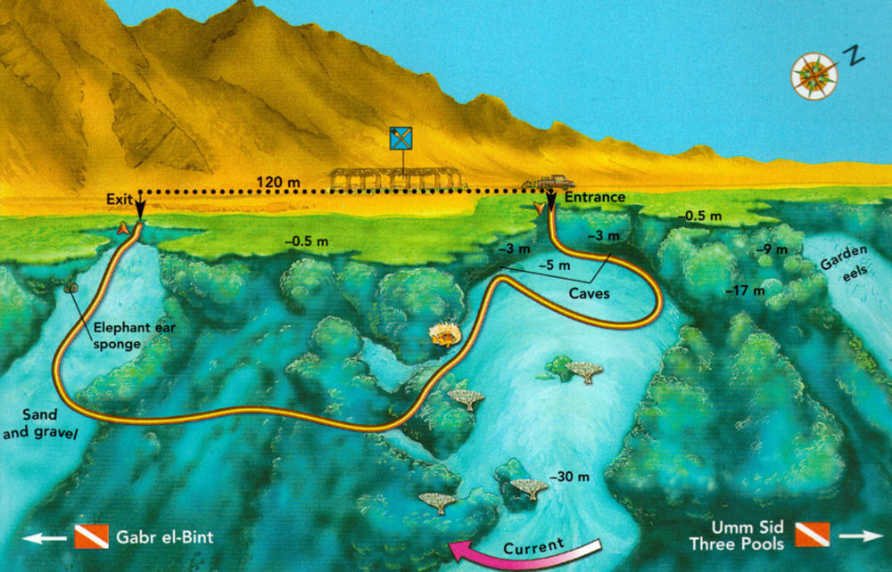 Dahab Divers Εξωτερικό φωτογραφία