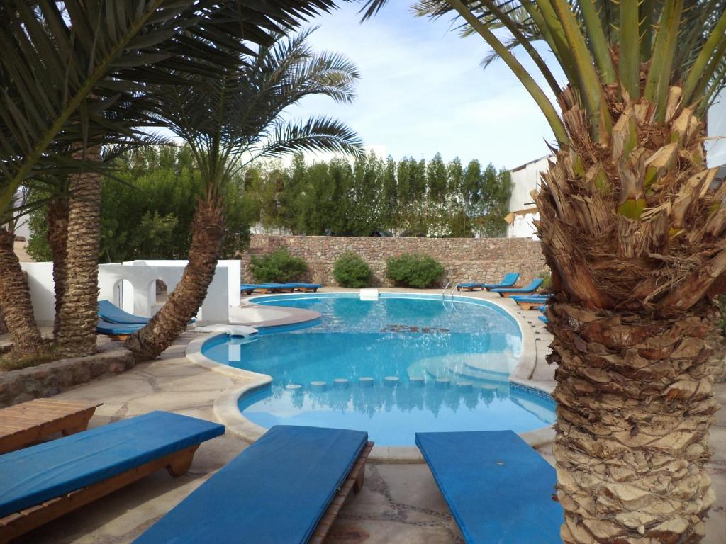 Dahab Divers Εξωτερικό φωτογραφία
