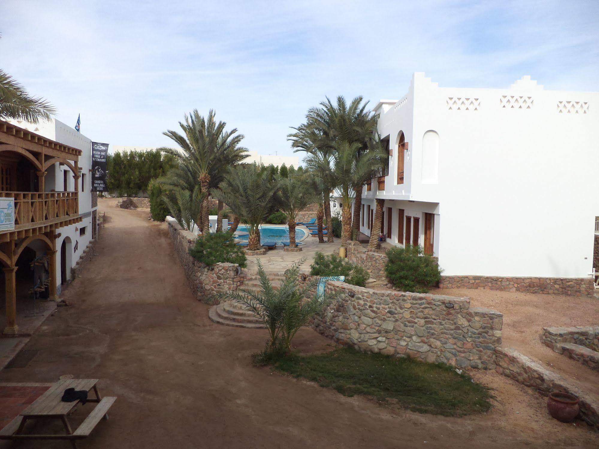 Dahab Divers Εξωτερικό φωτογραφία