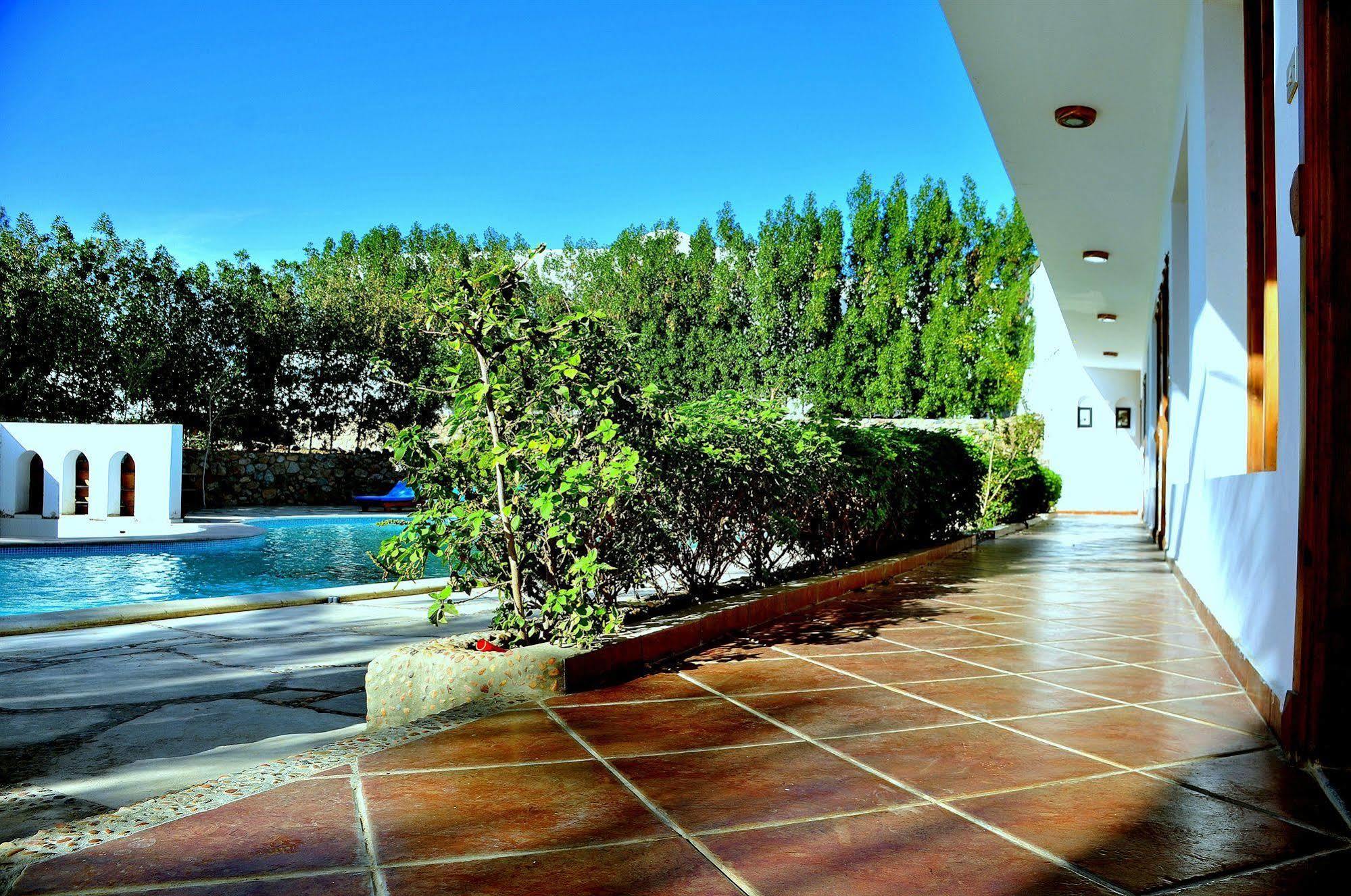 Dahab Divers Εξωτερικό φωτογραφία